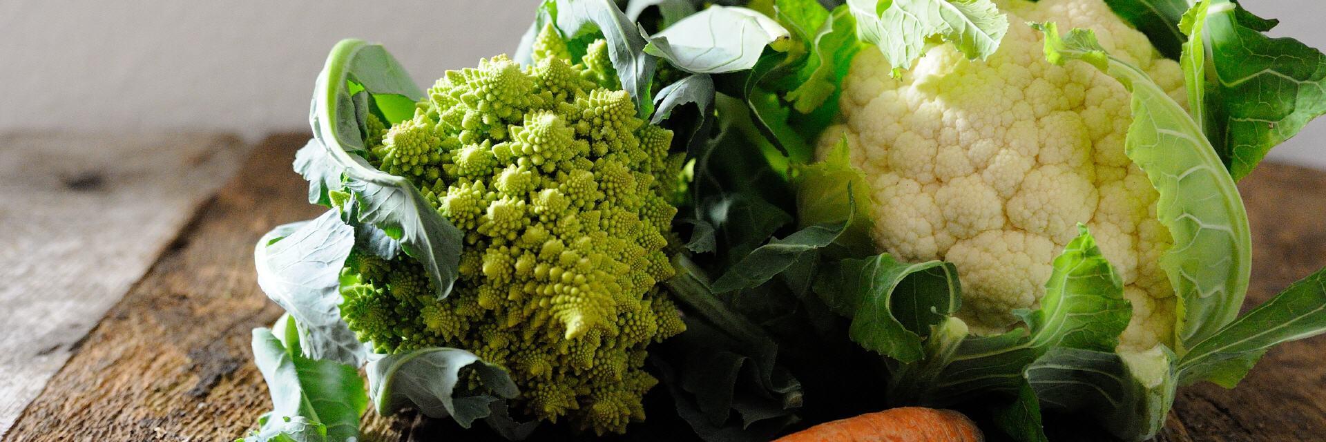 Markt Halle Alfhausen Gemüse Angebot